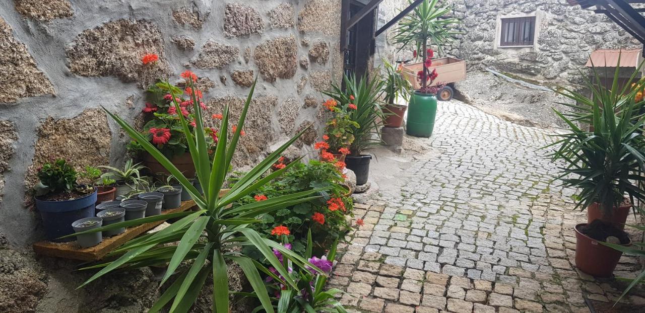 Branca Goncalves Belmonte Villa Belmonte  Dış mekan fotoğraf